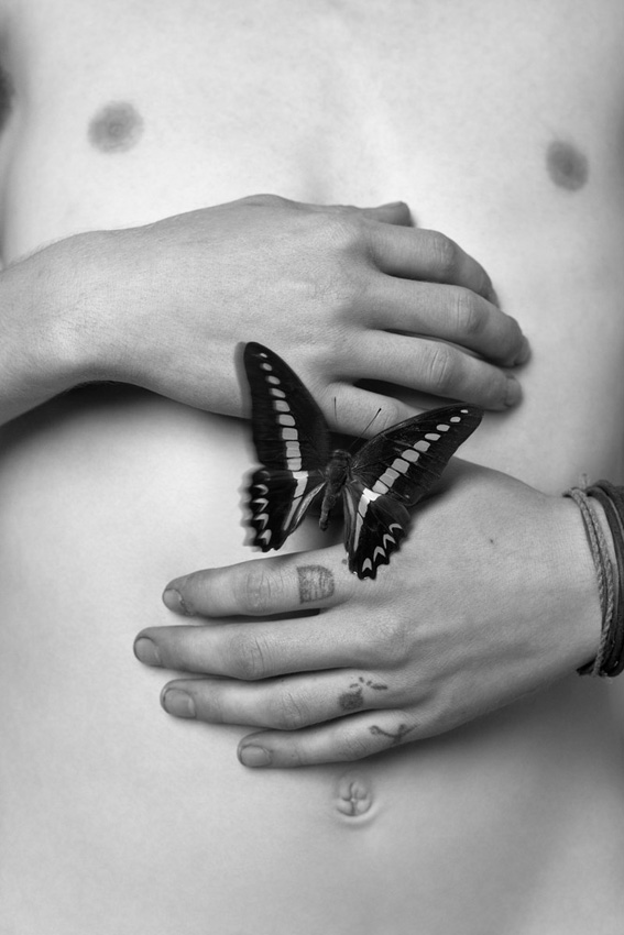 Butterfly_2010