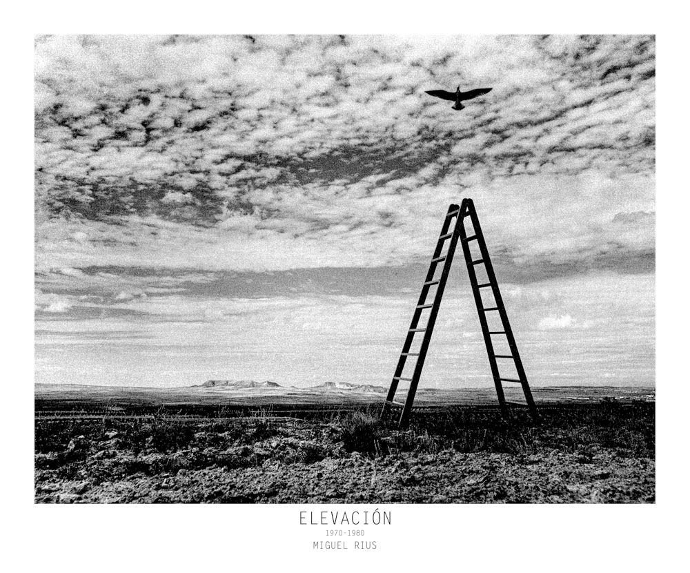 GENESIS-9