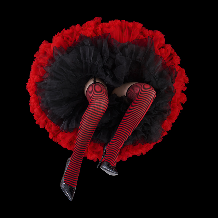 crinoline-flowers-7
