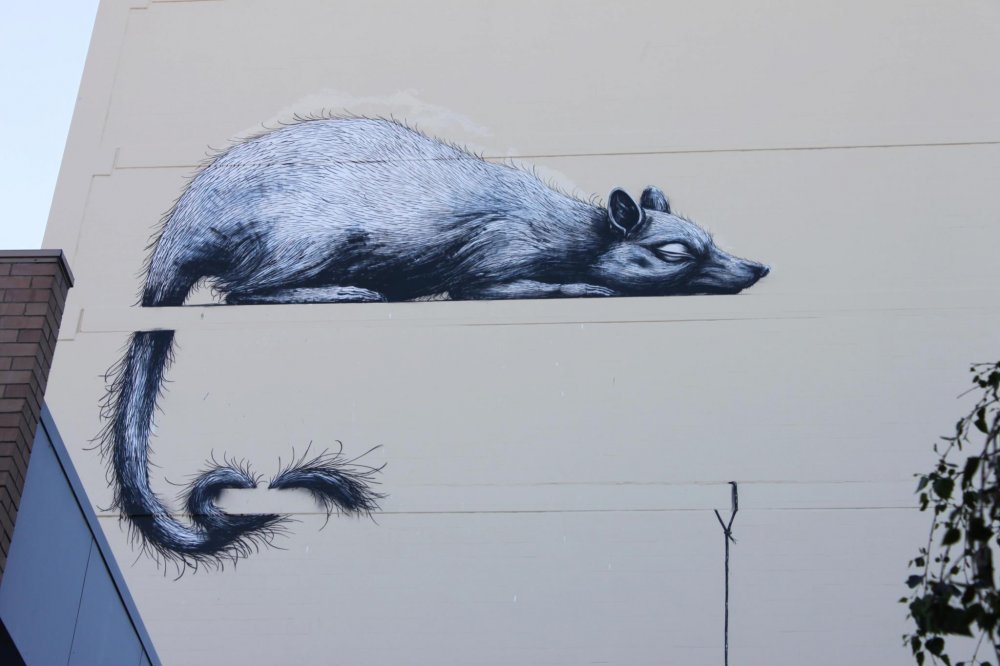 1346931881_roa-street-art