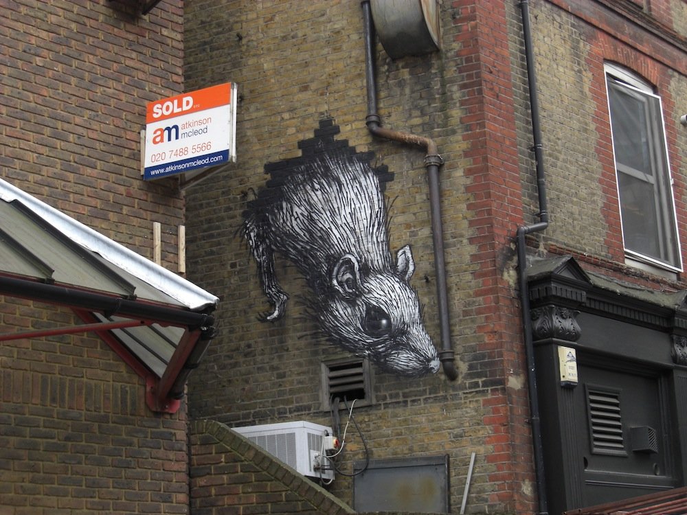 1346931910_street_art_roa_5