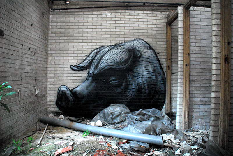 roa_kriebel_3_1000