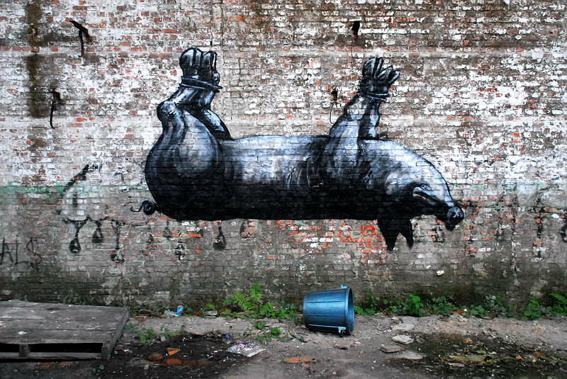 roa_kriebel_4_1000
