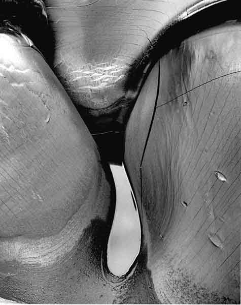 med_dieuzaide-1-jpg