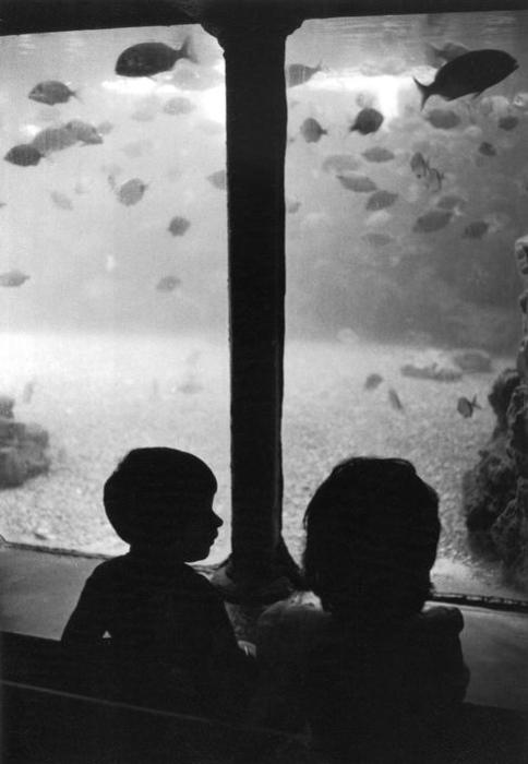 Fotografía de Ferdinando Scianna.