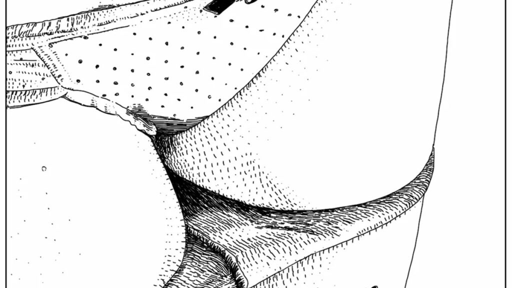 excitantes-ilustraciones-de-apollonia-saintclair-cultura-inquieta