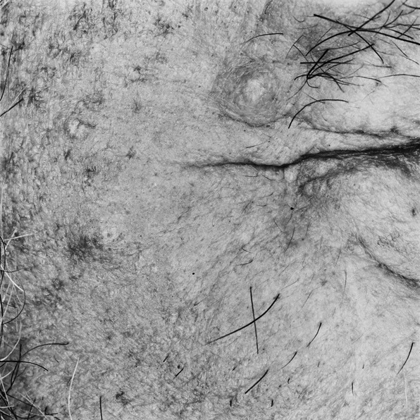La fotografía de Denis Piel