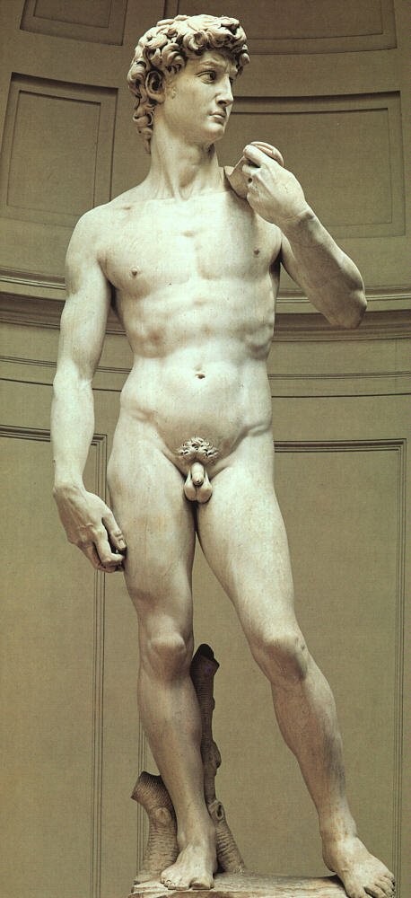 El David de Miguel Ángel