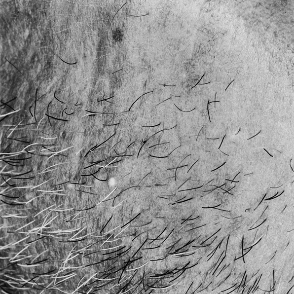 La fotografía de Denis Piel