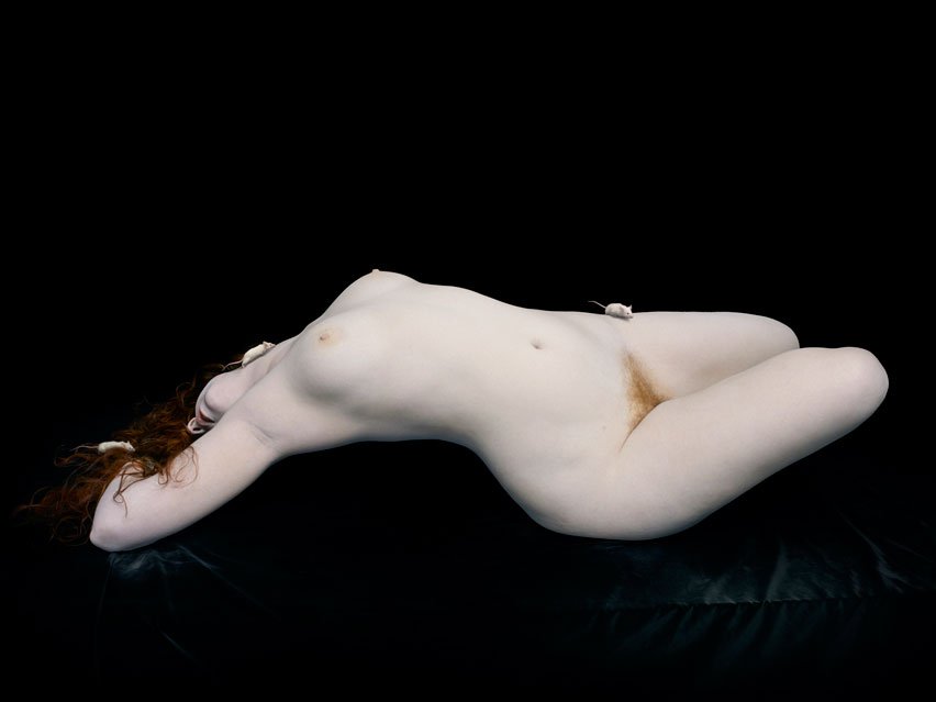 31