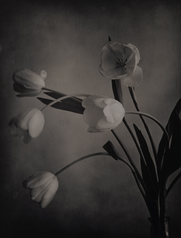 Arthur Meehan