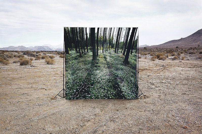 Brian-Oldham7