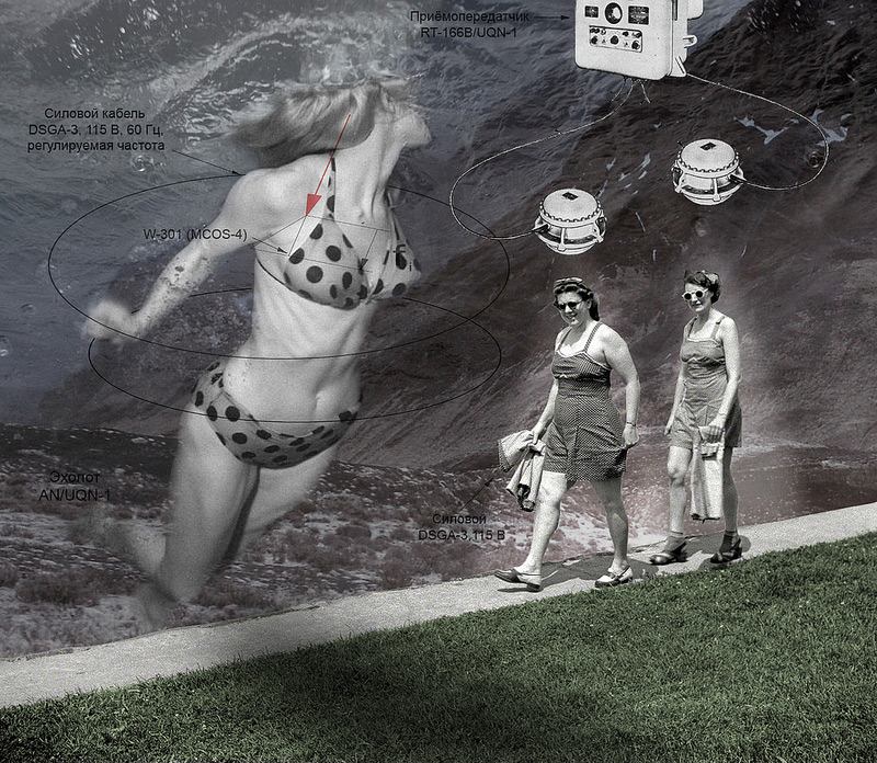 Franz Falckenhaus Collage