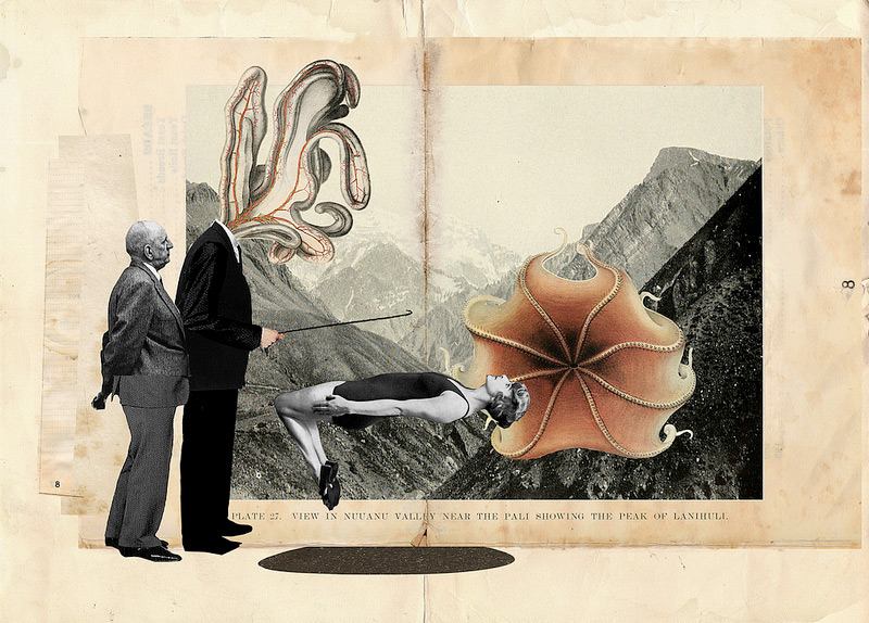 Franz Falckenhaus Collage