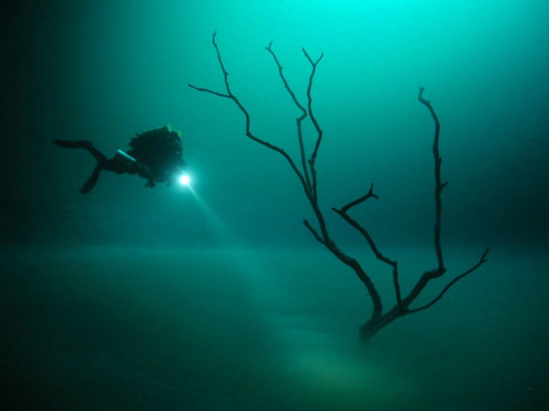 Plongee-Mexique-Cenote-Angelita-3-