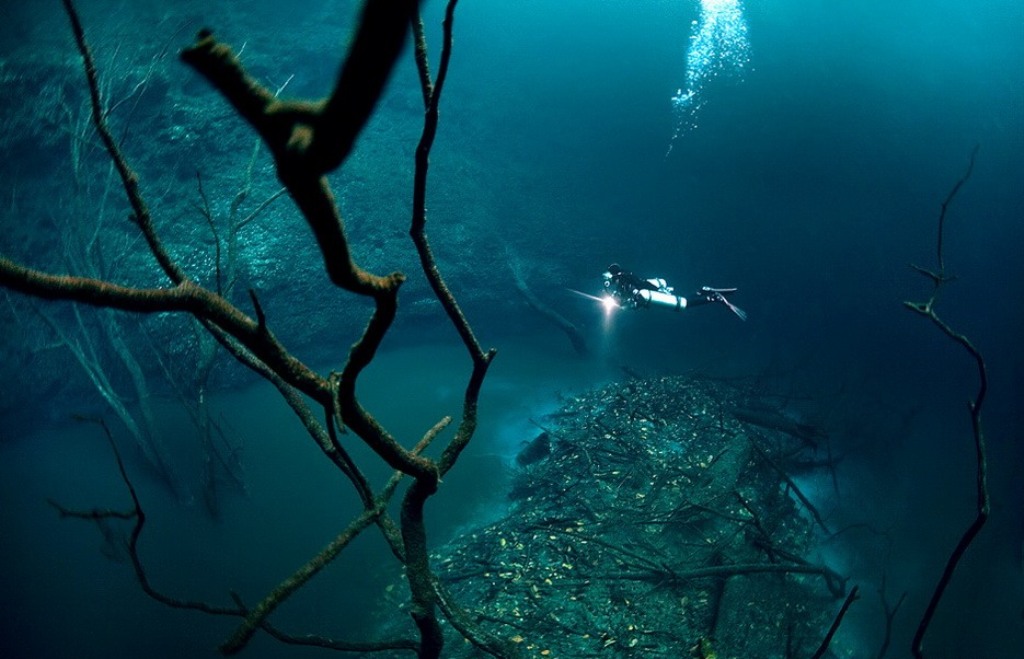 Plongee-Mexique-Cenote-Angelita-5-