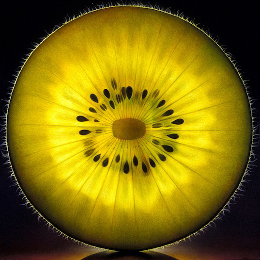 Dennis-Wojtkiewicz_web21