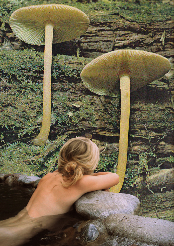 collage-23b