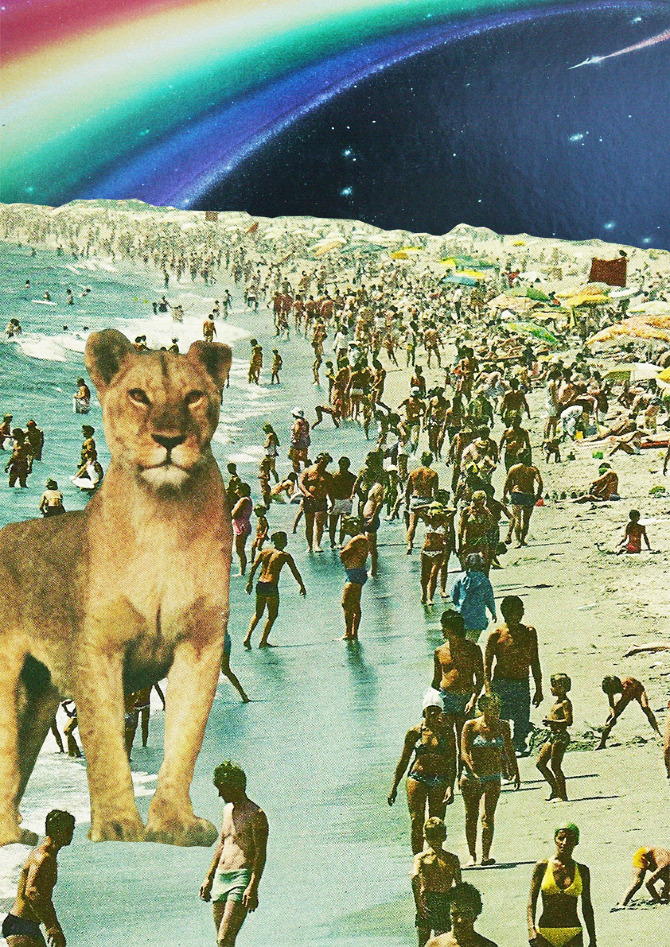 collage-44b