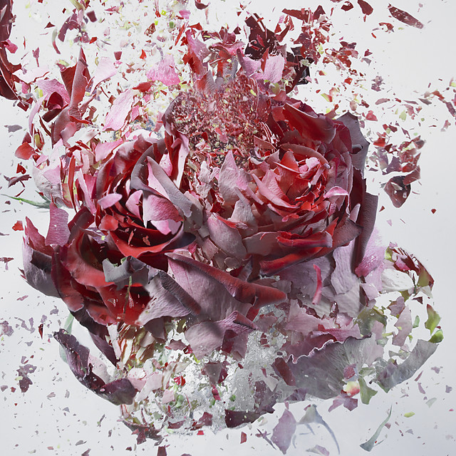flower-2