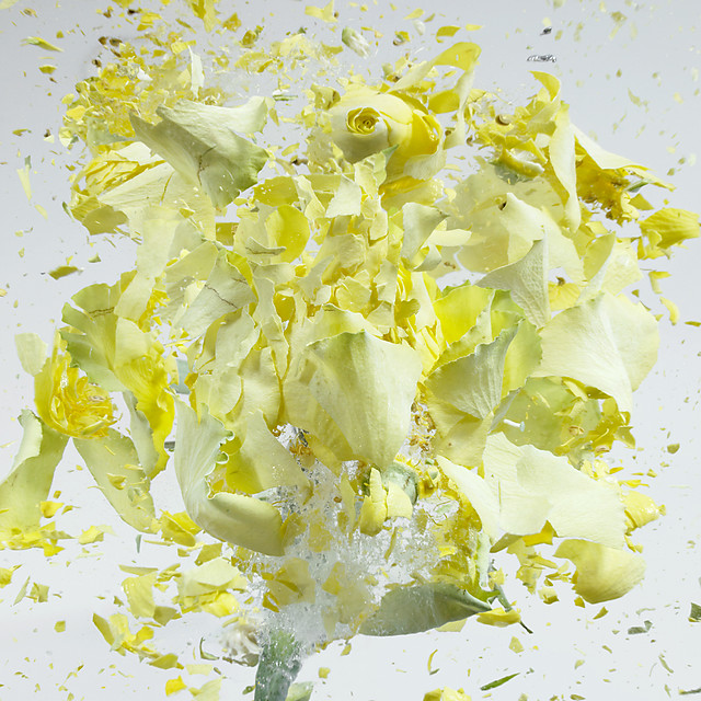 flower-3