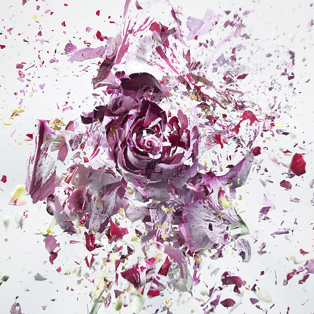 flower-4