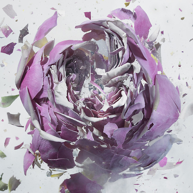 flower-5