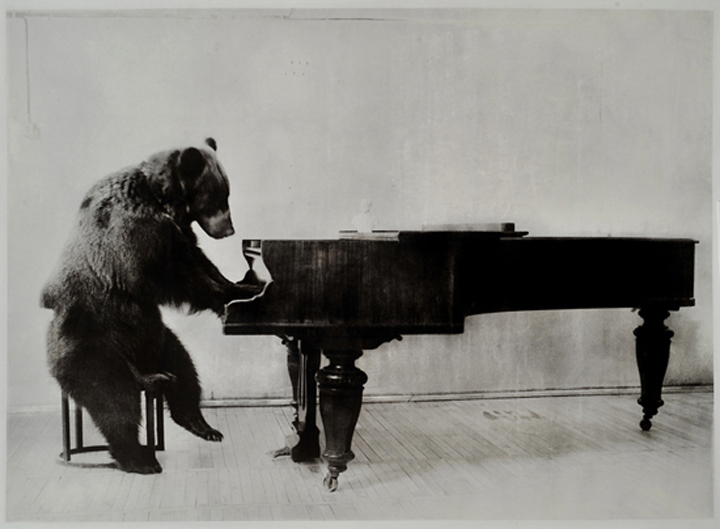 bear2_1