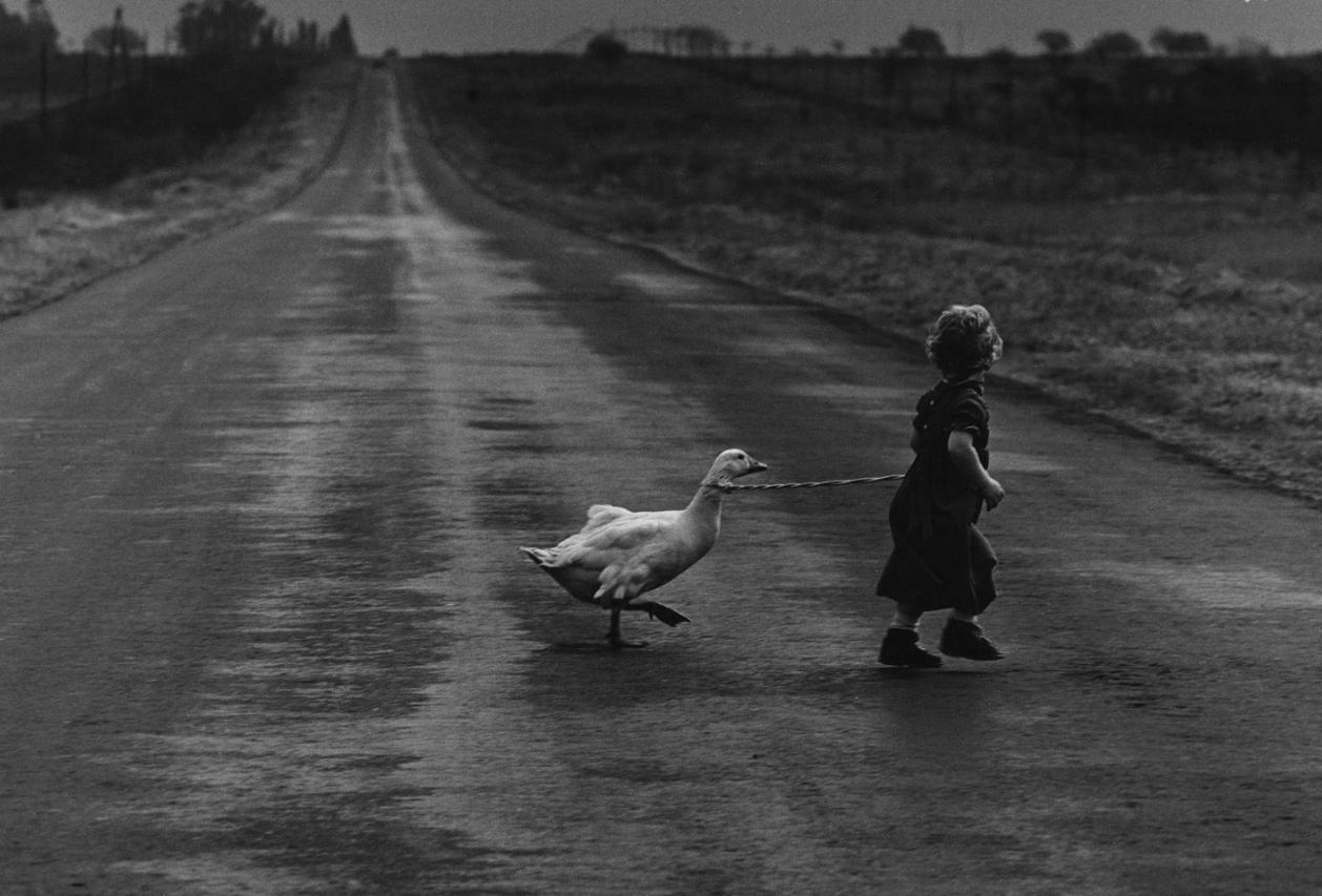 Fotografía de Pedro Luis Raota.