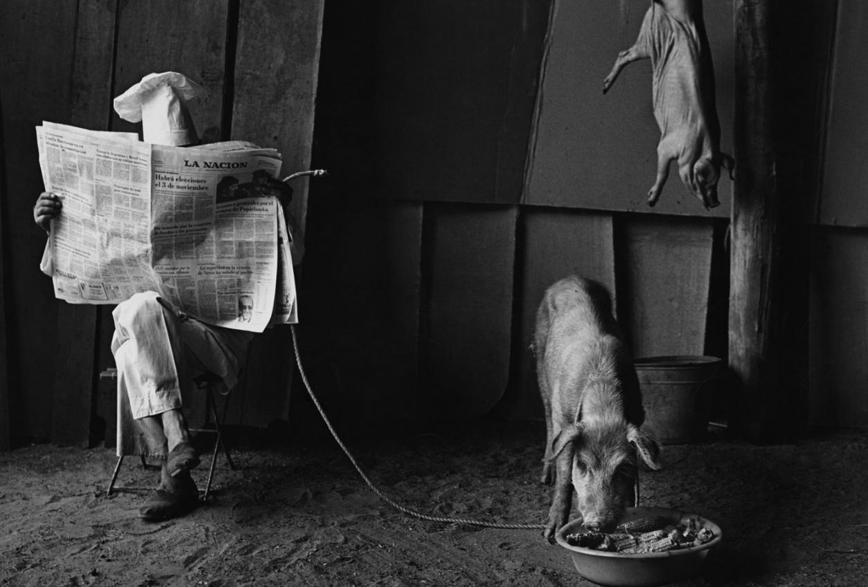 Fotografía de Pedro Luis Raota.