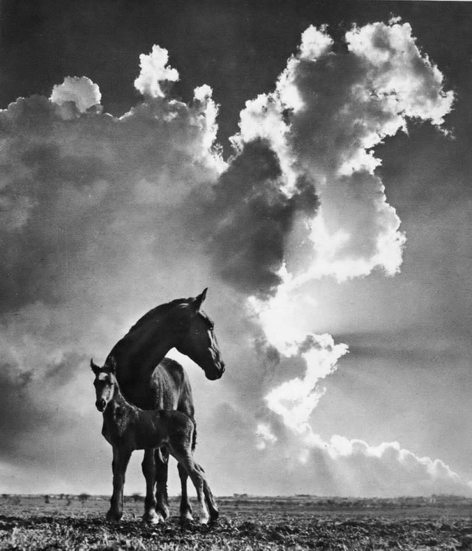 Fotografía de Pedro Luis Raota.