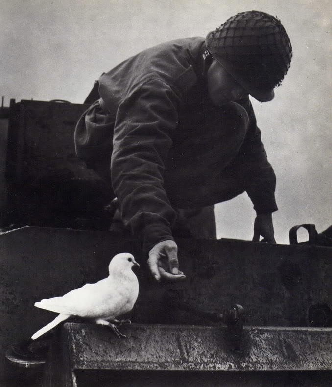 Fotografía de Pedro Luis Raota.