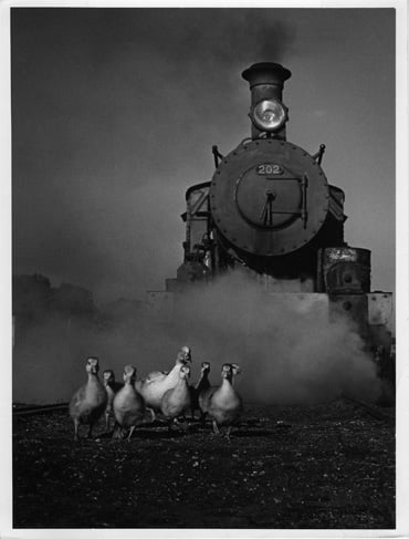Fotografía de Pedro Luis Raota.