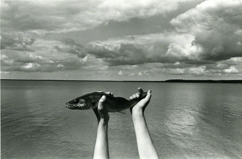 Fotografía de Ken Josephson