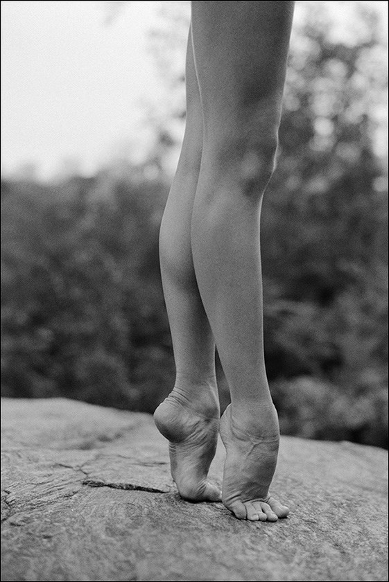 The Ballerina Project