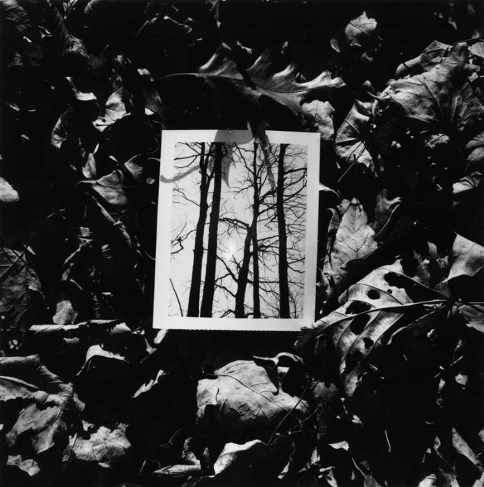 Fotografía de Ken Josephson