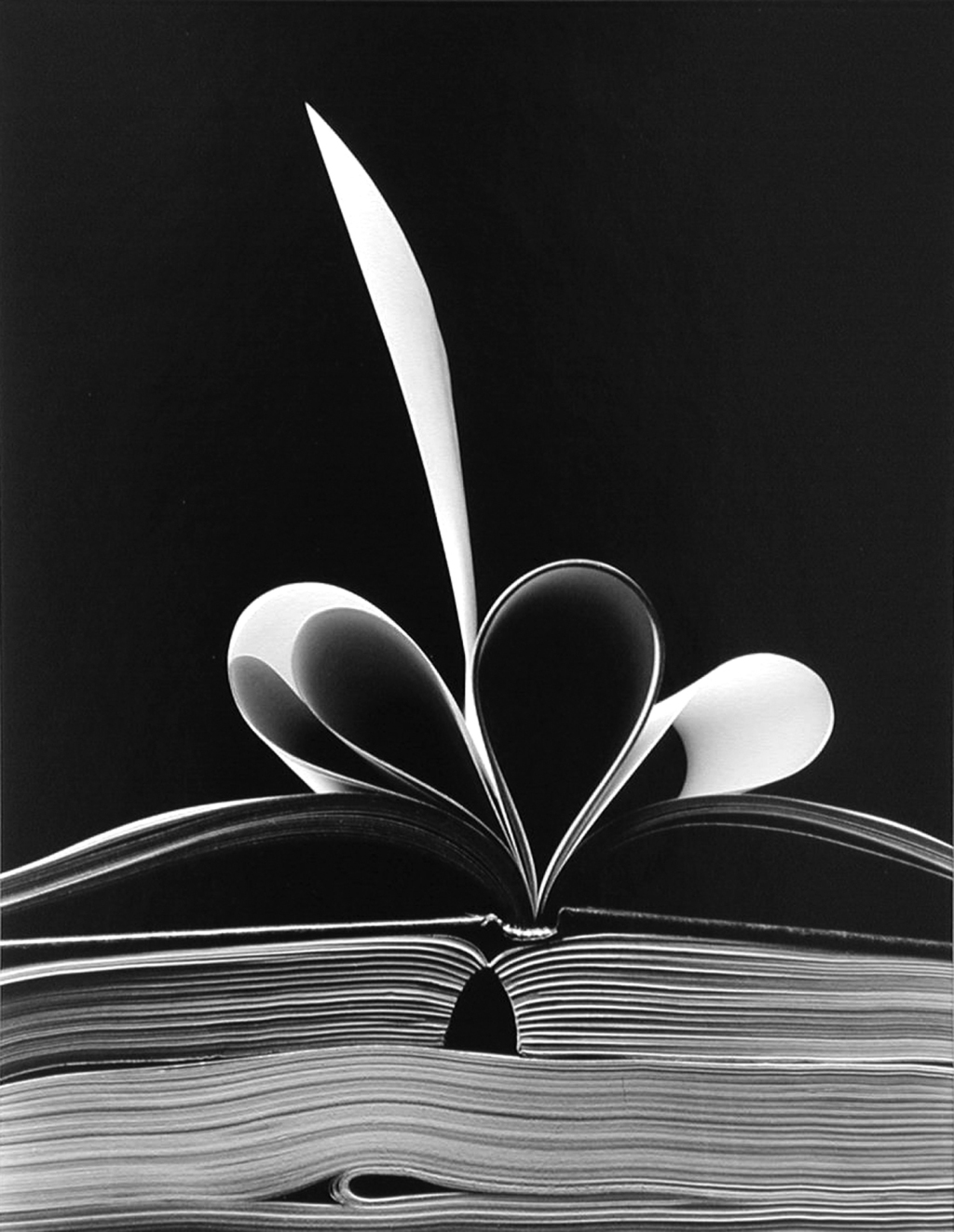 Fotografía de Ken Josephson