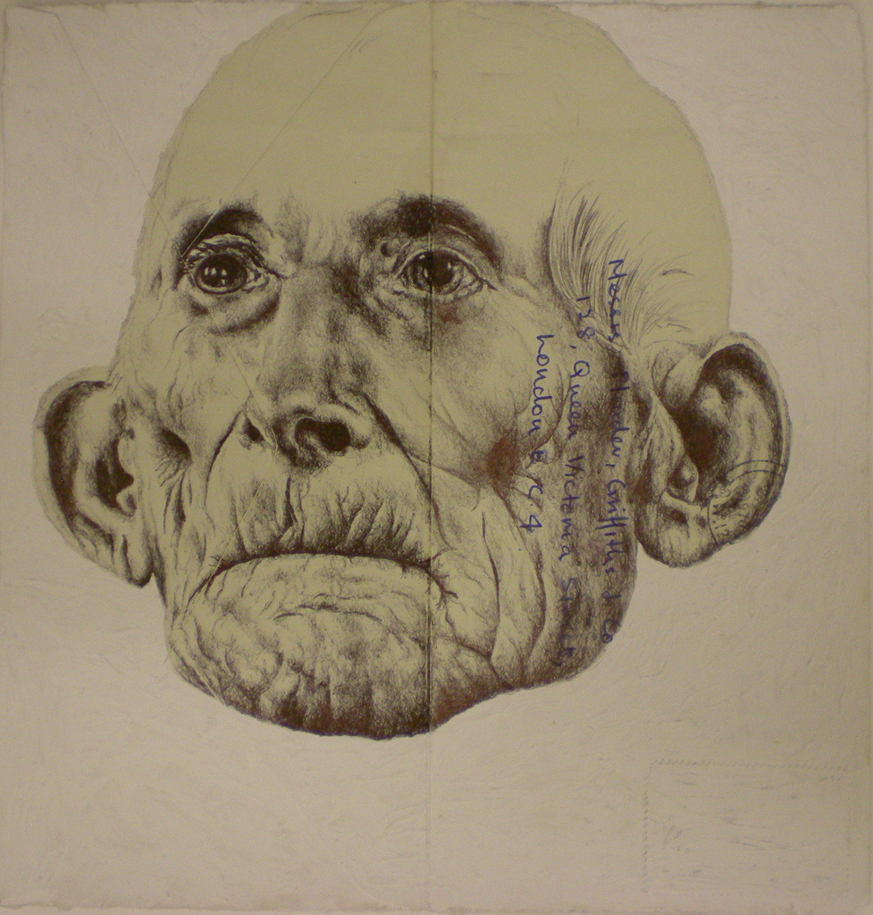 Mark Powell 11