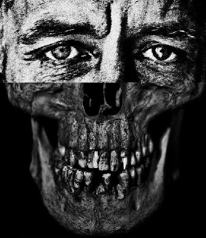 Brett-Walker_Cultura-Inquieta11
