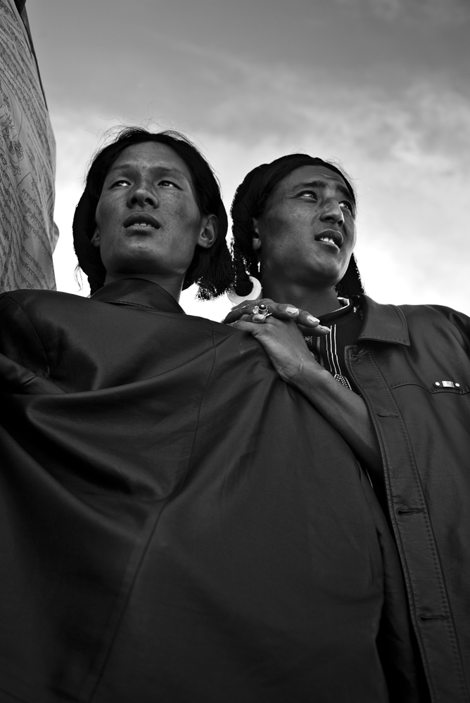 LHASA portrait cuero
