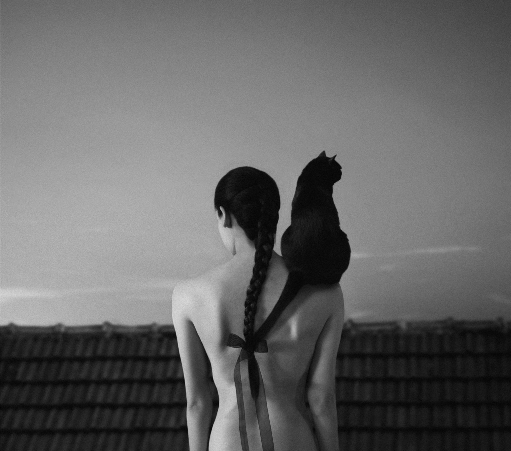 Fotografías de Noell S. Oszvald