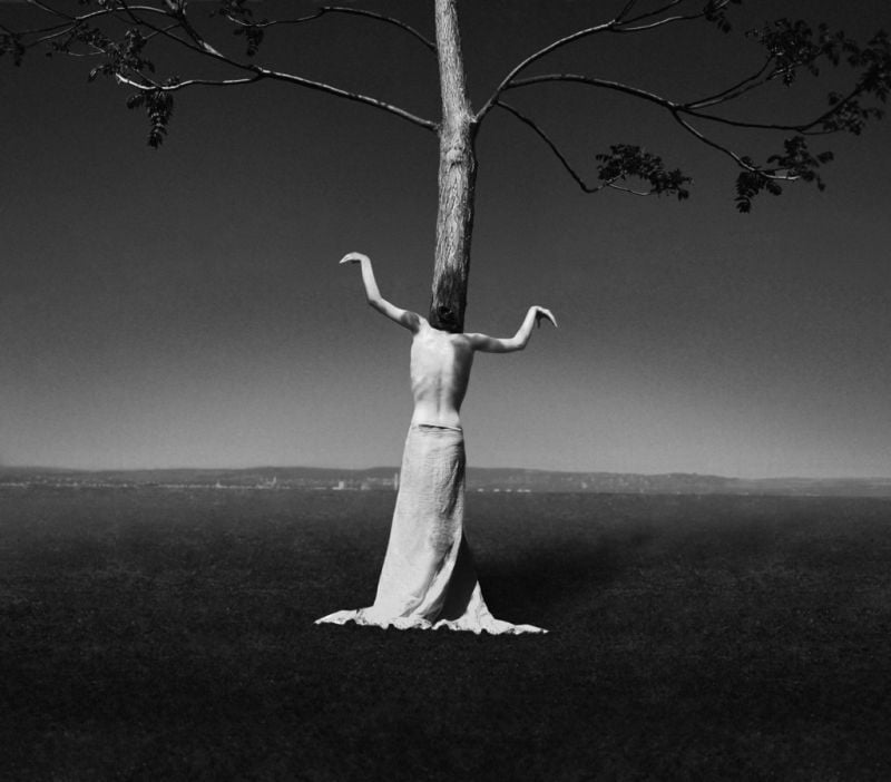 Fotografías de Noell S. Oszvald