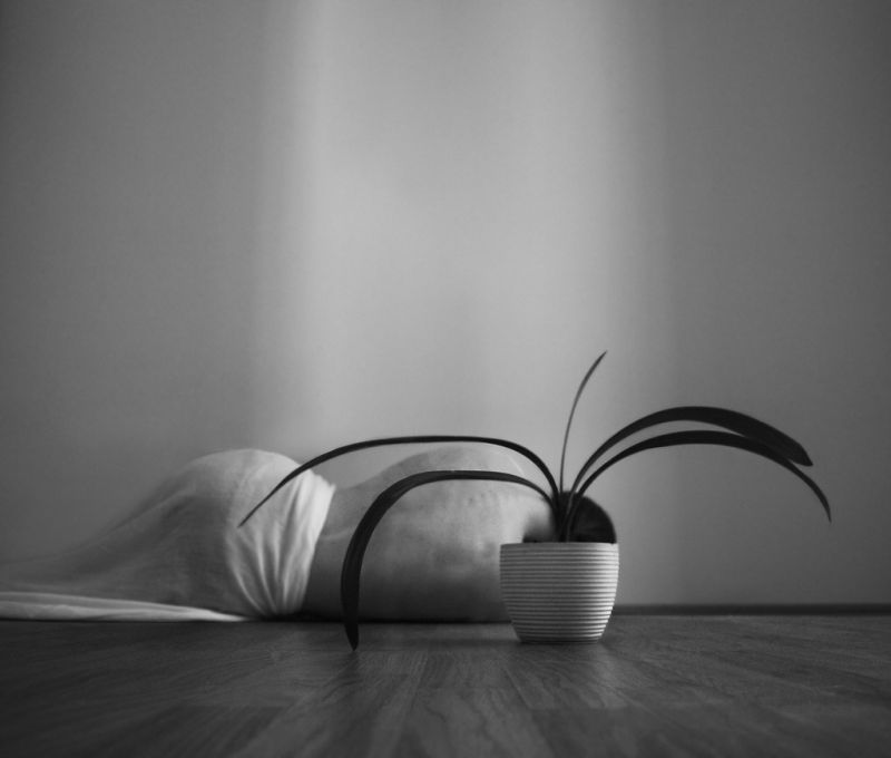 Fotografías de Noell S. Oszvald