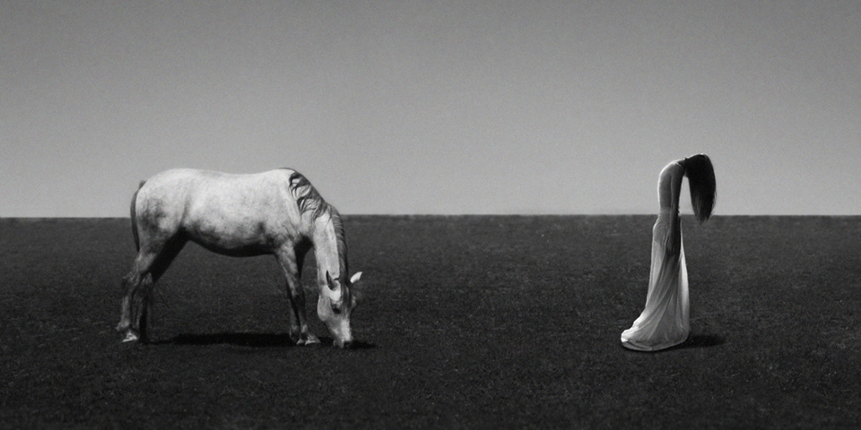 Fotografías de Noell S. Oszvald
