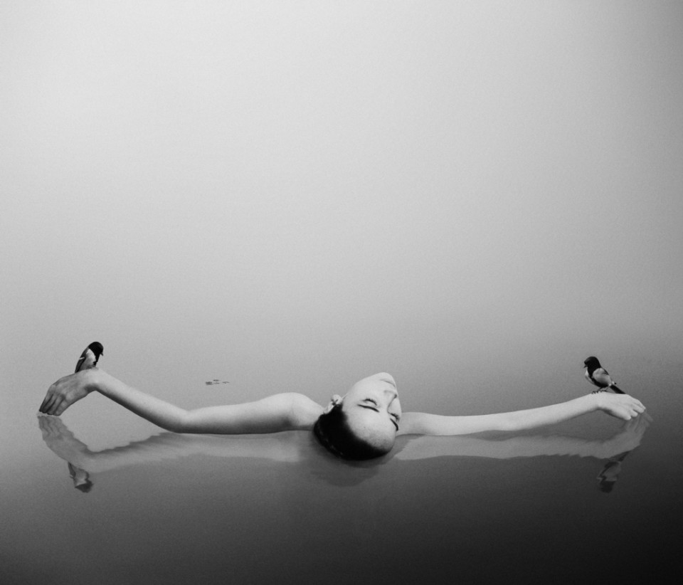 Fotografías de Noell S. Oszvald