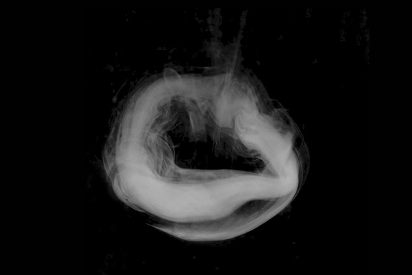 humoydanza CI7