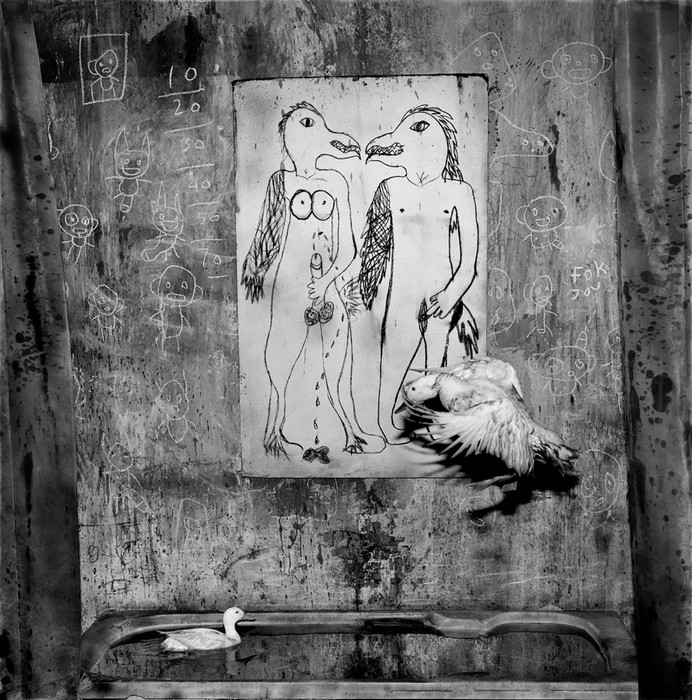 Roger Ballen photography