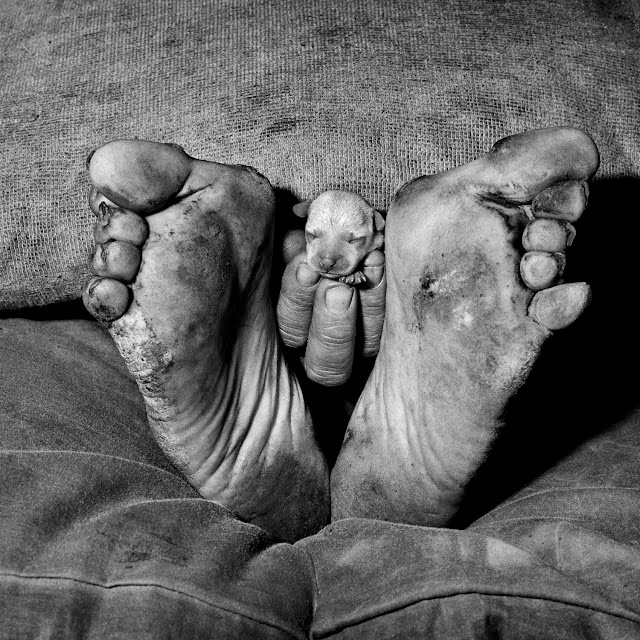 Roger Ballen photography