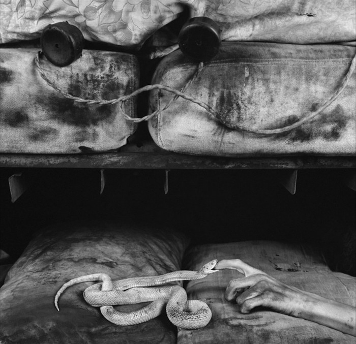 Roger Ballen photography
