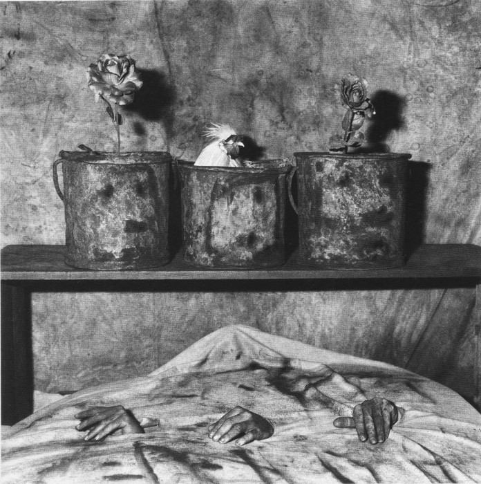 Roger Ballen photography